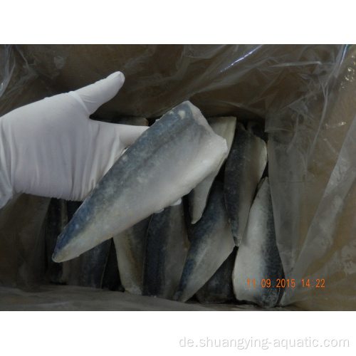 Chinesische Exportmakrelfilet gefrorene Fischmakrelefilets